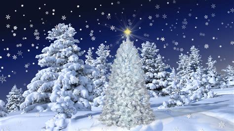 white christmas hd wallpaper background image
