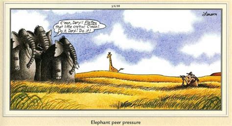 Perkins Tries To Take A Picture Of Elephants In The Wild Far Side