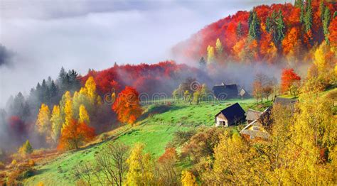 Colorful Autumn Landscape In The Mountain Village Foggy