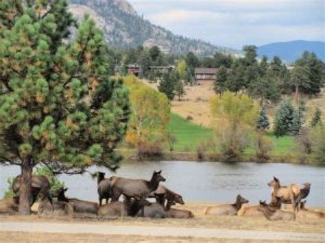 Best Estes Park Hikes For Kids | Estes park hikes, Estes park, Colorado