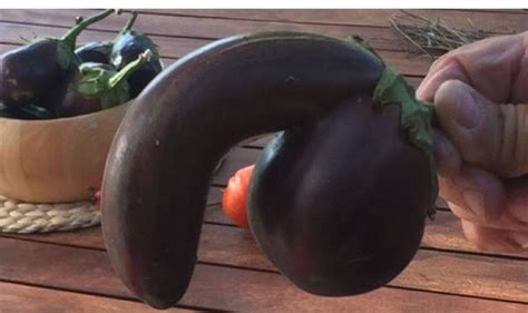 Rude Vegetable Looks Just Like A Penis Life Life And Style Express
