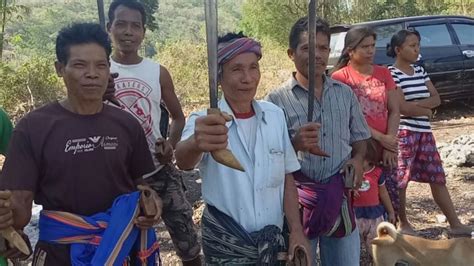 Aufrufe 4,1 tsd.vor 3 monate. Sisi Lain Budaya Sumba: Pria Berparang Ada Dimana-mana ...