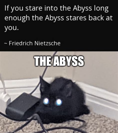 The Abyss Is Charging A Pounce Rmemes