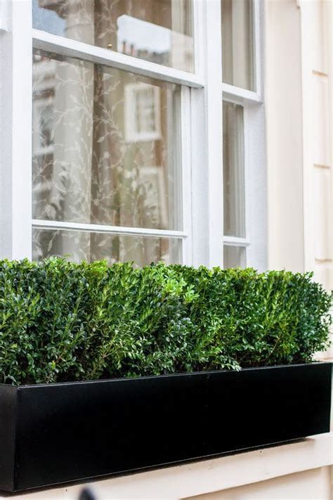 These extra long flower boxes look fantastic under wide windows, on expansive balcony railings, along fences or placed on planter stands. Window Box Company | Window boxes London | Metal window ...