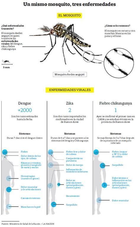 Mosquitoes That Carry Zika Virus