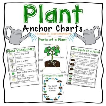 Plant Parts And Life Cycle Anchor Charts By Shine Design TpT