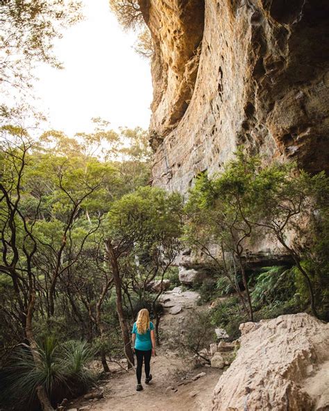 The 22 Best Blue Mountains Walks Easy Hard By Area — Walk My World
