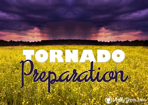8 Ways To Prepare For A Tornado Molly Green