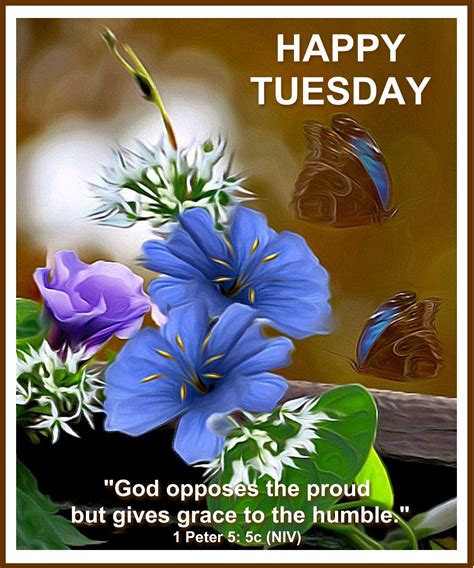 Happy Tuesday Blessingsgood Morning Wonderful Day Quotes Tuesday