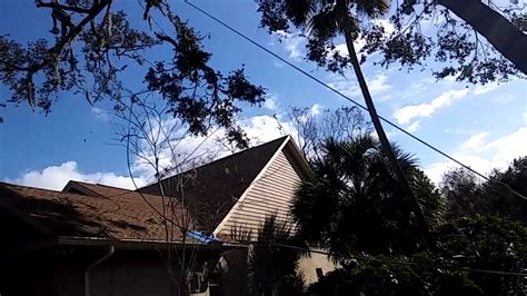 Houston arbor care tree service tree care services for busy home and business owners in houston save time and money in the long run. Matt's Pro Arbor Care, Inc. Tree Service - YouTube
