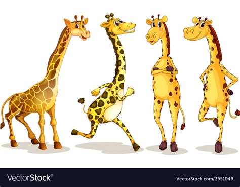 giraffes royalty free vector image vectorstock