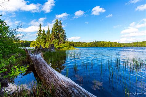 Summer Landscape Of Algonquin Park Ontario Canada Parkside Bay