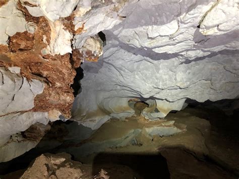 Limestone Caves Aussie Bushwalking