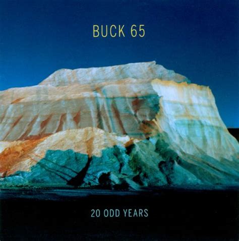 Best Buy 20 Odd Years Lp Vinyl