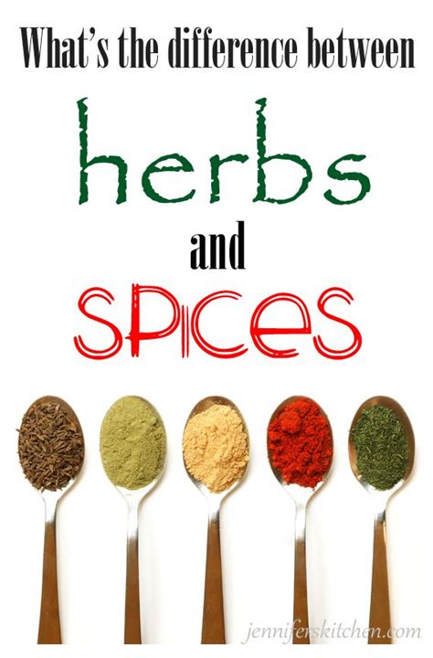 What is the Difference Between Herbs and Spices | Herbs & spices, Save ...