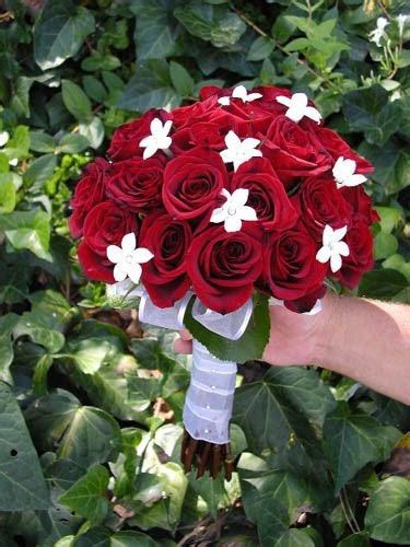 We did not find results for: Bouquet Bridal: Red Roses and Small White Flowers Bouquet