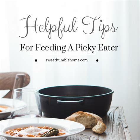 helpful tips for feeding a picky eater picky eaters helpful hints