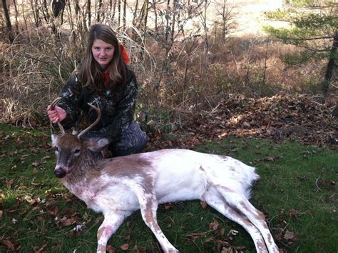 Piebald White Tailed Deer Is Less Than A 1 In 100 Chance