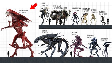 Evolution Of Alien Xenomorph Size Comparison Working Roblox Promo