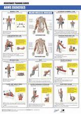 Photos of Arm Muscle Exercises With Weights