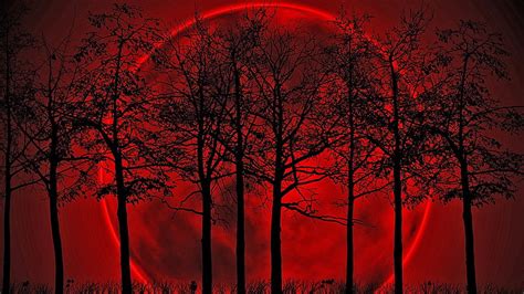 Hd Wallpaper Red Moon Illustration Blood Moon Tree Beauty In Nature