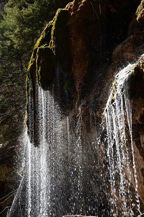 Mossy Waterfall Photograph By Coryanthes Linaya Pixels