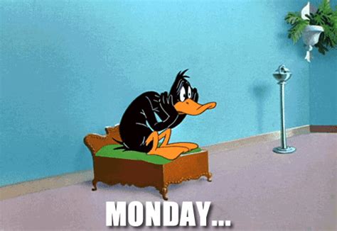 Explore more like daffy duck with money. Daffy Duck Archives - Reaction GIFs