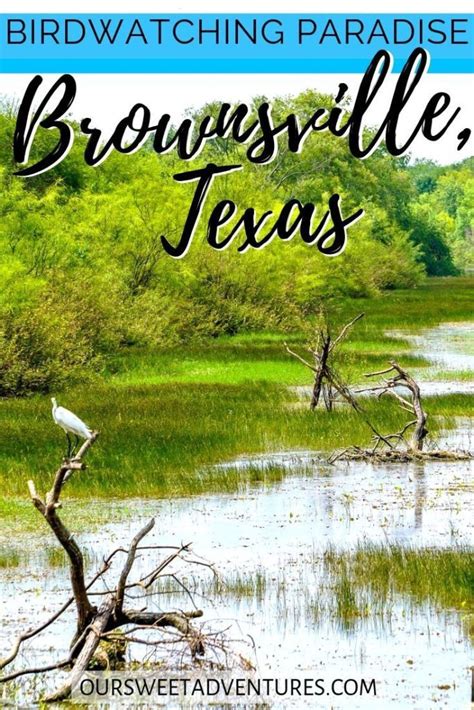 15 Of The Best Things To Do In Brownsville Texas A Weekend Guide