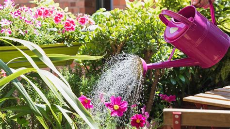 Watering Plants Tips On What To Do When To Do It And More Gardeningetc