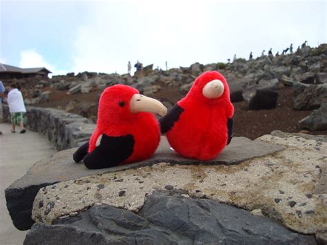 Taking the upper haleakala highway (kekaulike) from. Traveling With Kids: Traveling with kids to Maui: visiting ...