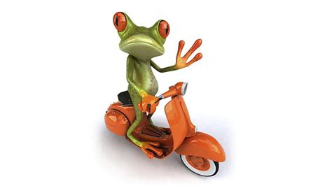 Frog On A Bike Frogs Bikes Toons Animals Hd Wallpaper Peakpx
