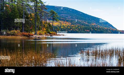 Eagle Lake Shoreline In Acadia National Park Maine Usa Stock Photo