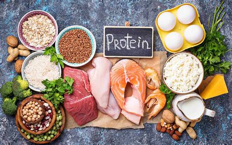 Unleashing The Power Of Protein The Science Behind Dri Dietary