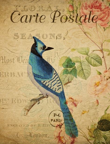 Bird Vintage Floral Postcard Free Stock Photo Public Domain Pictures