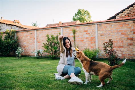 10 Zeichen dass Ihr Hund glücklich ist | Hunde, Hundehaltung