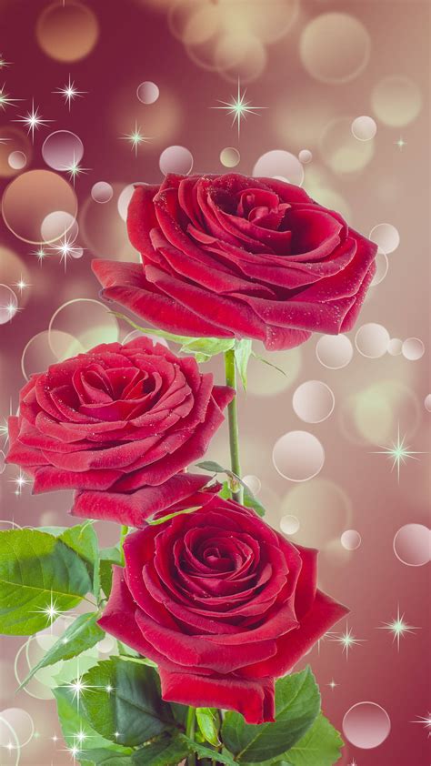 Download Roses And Sparkles Flower Mobile Wallpaper