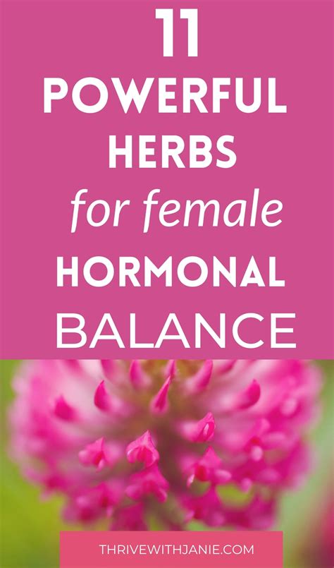 11 Best Herbs To Balance Hormones Naturally For Women Thrive With Janie