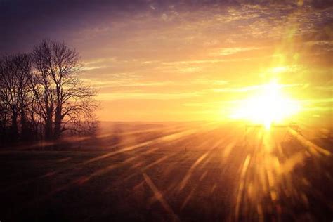 Royalty Free Blinding Sun Pictures Images And Stock Photos Istock
