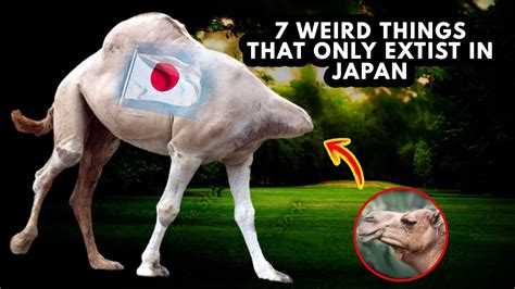 These Are 7 Weird Things That Only Exist In Japan Youtube