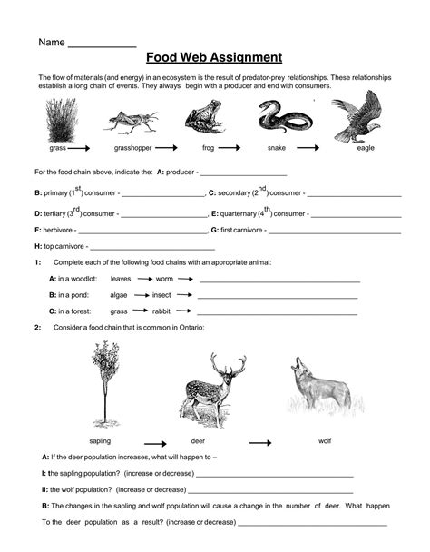 Food Chains And Food Webs Worksheets Answers