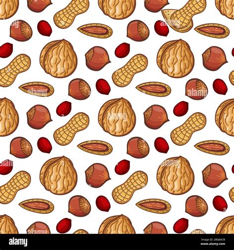 Fresh Nuts Seamless Pattern Vector Nuts On White Sketch Background