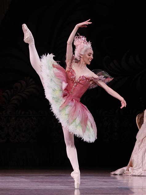 Meet The Fairies The Australian Ballet
