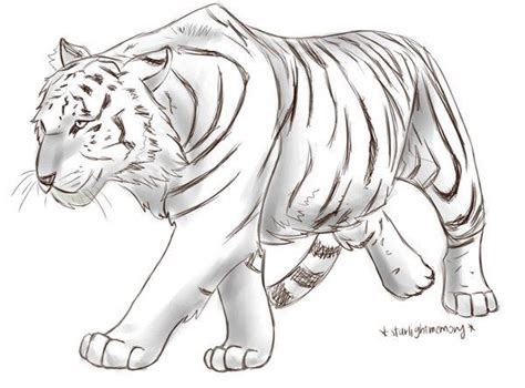 Draw Tigers Tiger Zeichnung Erstaunliche Zeichnungen Tiere Zeichnen