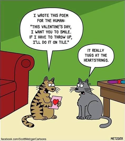 A Valentines Poem For The Human Crazy Cat Humor Funny Cat Memes Cat