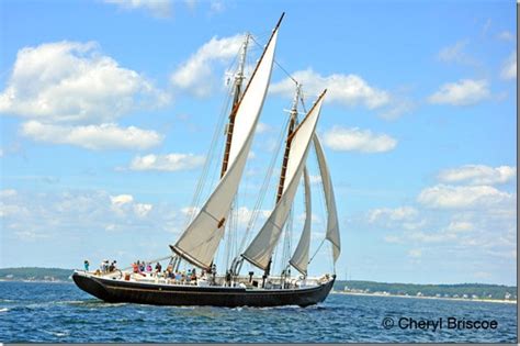 Photo Gloucester Schooner Festival Scuttlebutt Sailing News
