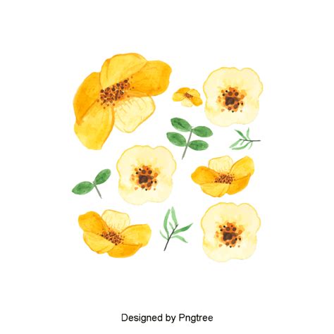 Vector Hand Painted Flowers, Watercolor, Flowers, Yellow Flowers PNG Transparent Clipart Image ...