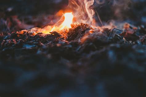 Hd Wallpaper Ashes Blaze Blur Bonfire Burn Burning Burnt