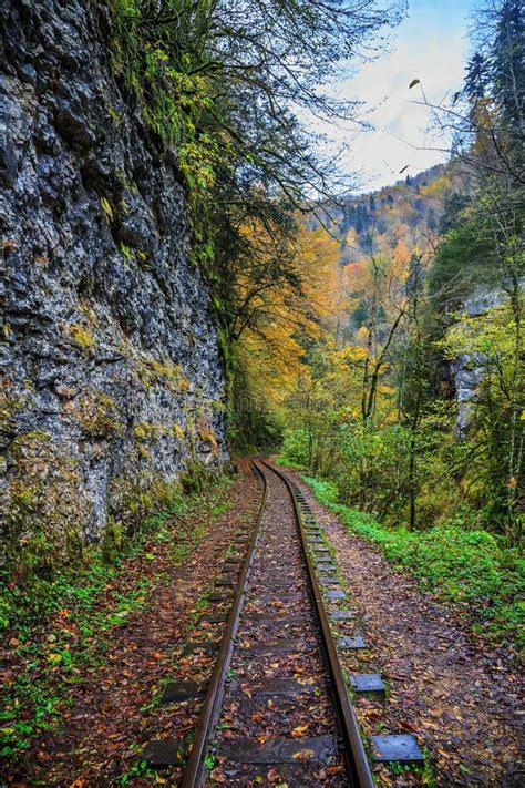 Railroad Tracks Cut Through Autumn Woods Stock Image Image Of Country