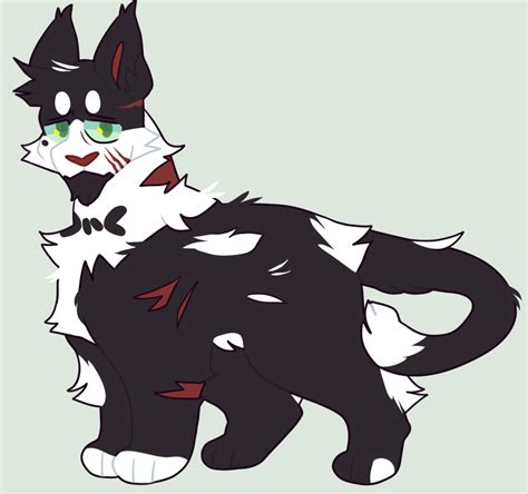 Catch These Paws — Twitchstar Leader Of Shadowclan A Large Tuxedo