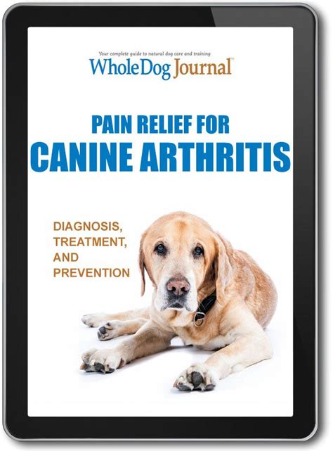 Pain Relief For Canine Arthritis Whole Dog Journal